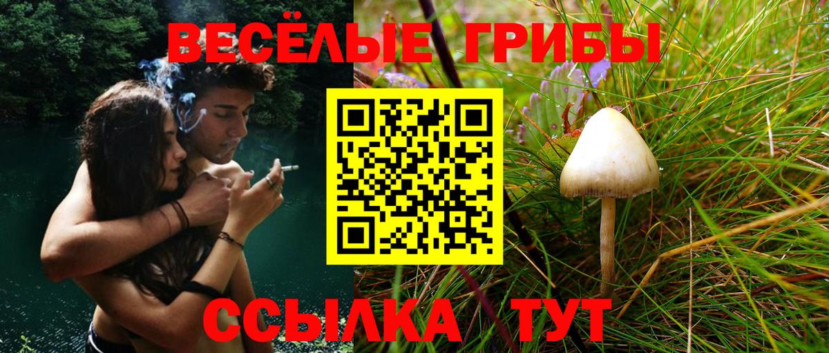 Псилоцибиновые грибы ЛСД Карталы