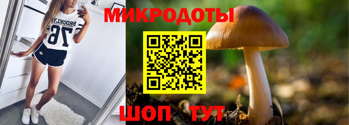 Карталы  Галлюциногенные грибы GOLDEN TEACHER  Вход с VPN  Псилоцибиновые грибы Cubensis 