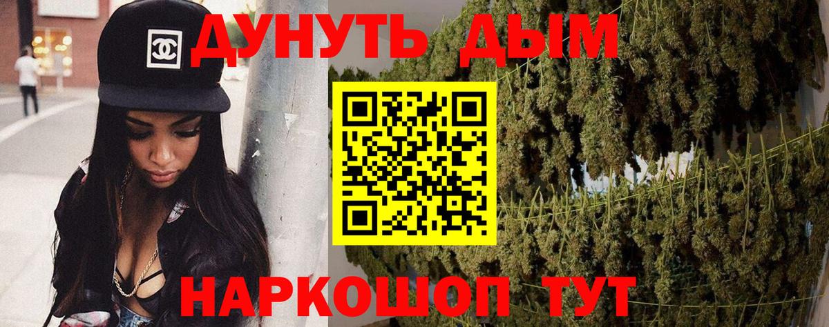 Каннабис планчик  Конопля сатива  Карталы  Канабис тримм  Вход с VPN  Канабис Ganja 